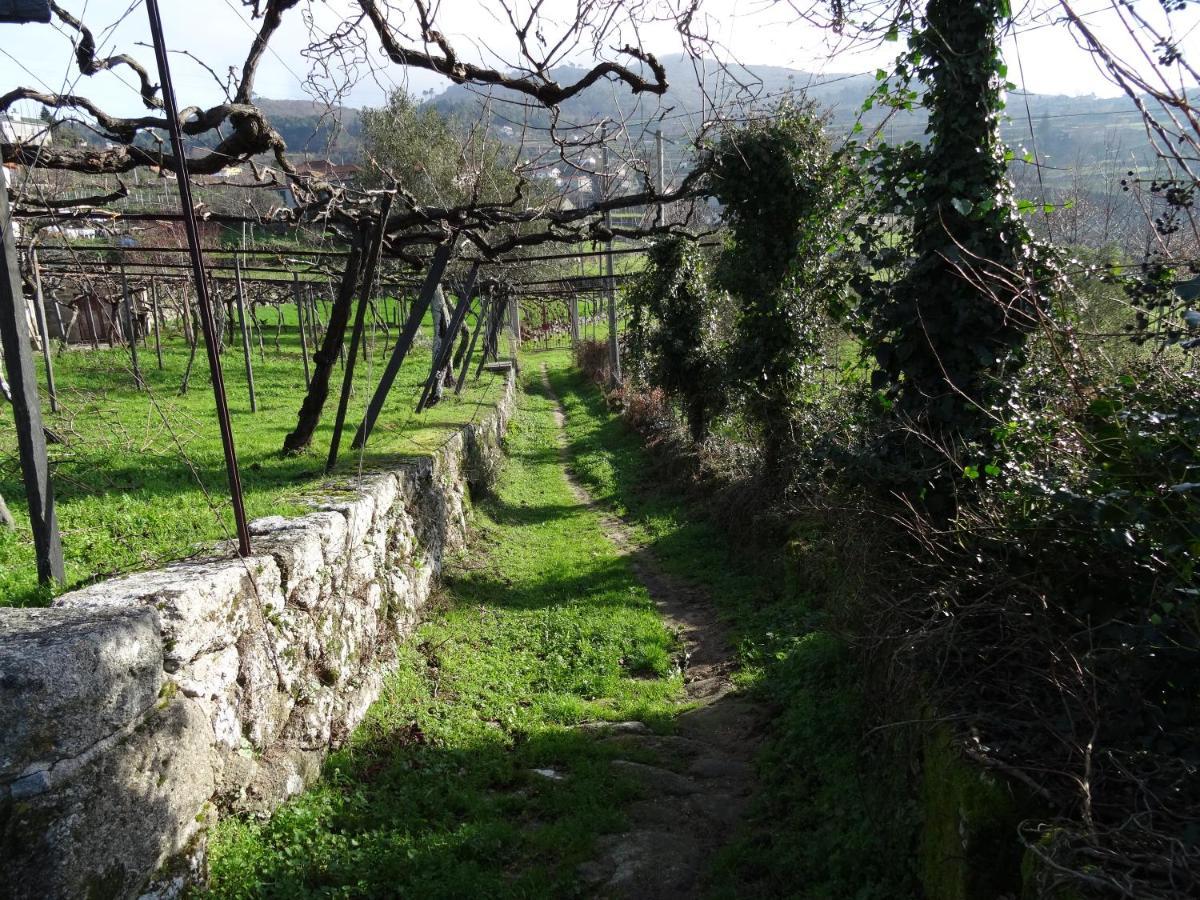 Quinta De S. Cipriano Villa Resende Exterior photo