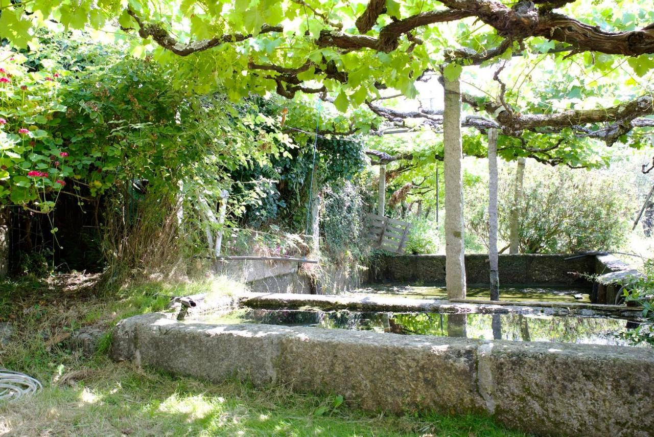 Quinta De S. Cipriano Villa Resende Exterior photo